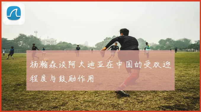 杨瀚森谈阿夫迪亚在中国的受欢迎程度与鼓励作用